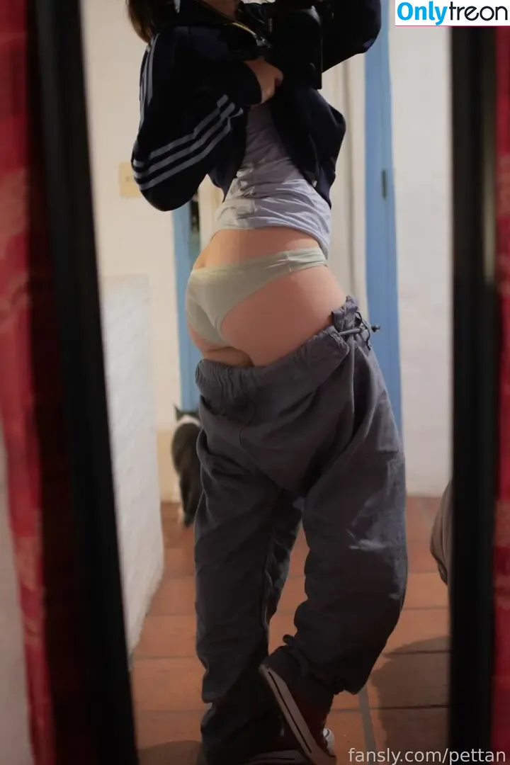 pettan nude photo #0036 (pettansgames)