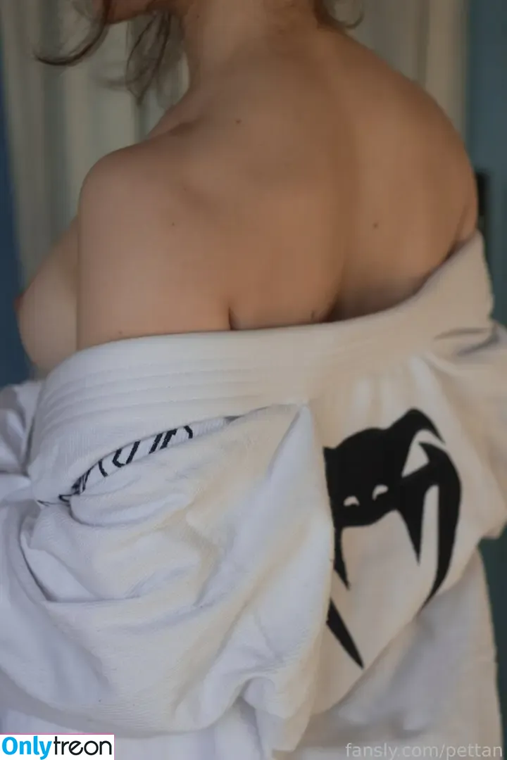 pettan nude photo #0043 (pettansgames)