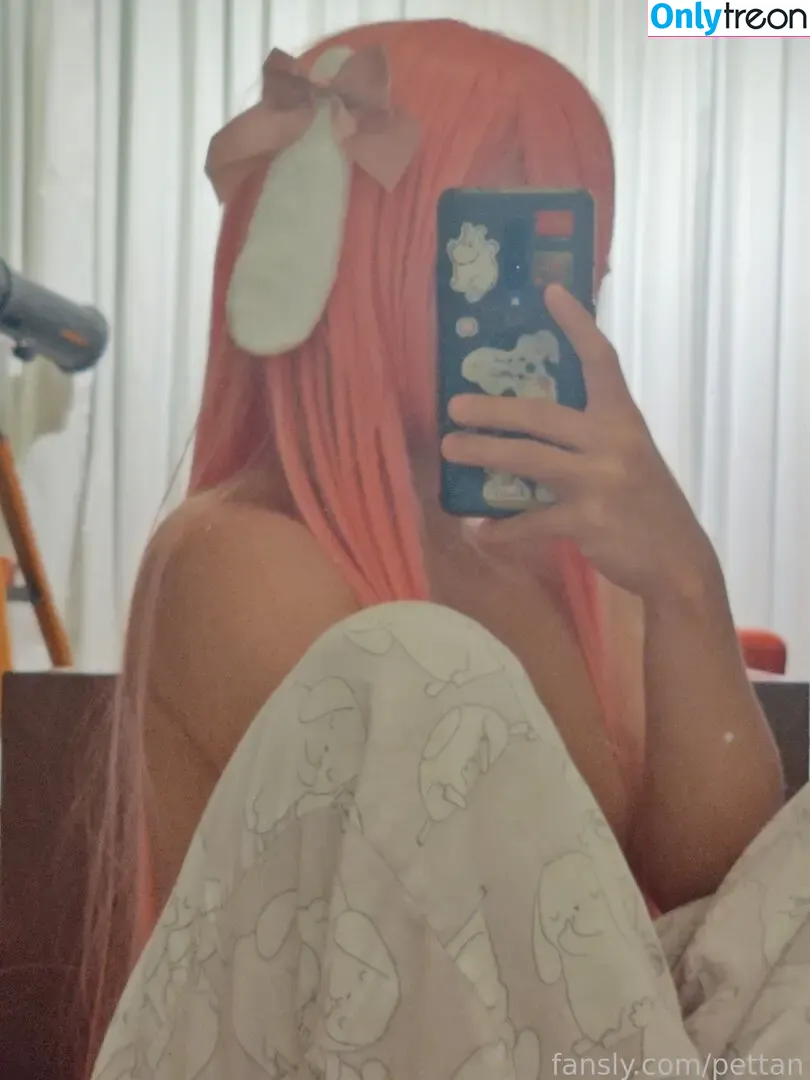pettan nude photo #0075 (pettansgames)