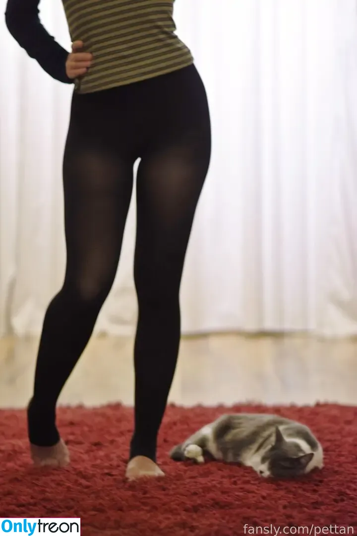 pettan nude photo #0082 (pettansgames)