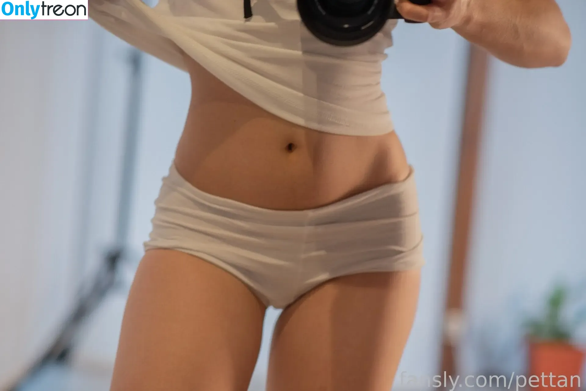 pettan nude photo #0193 (pettansgames)