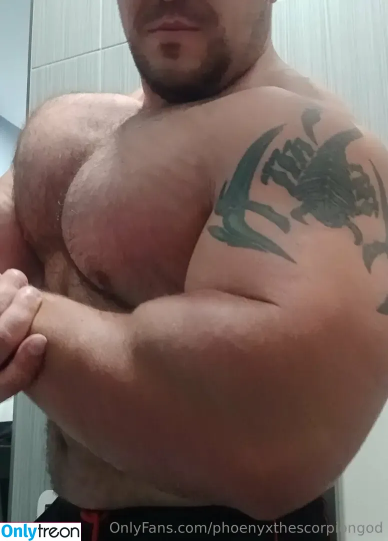 phoenyxthescorpiongod nude photo #0075 (phoenyxthescorpiongod)