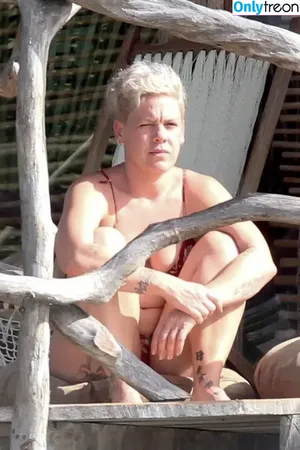Pink / Alecia Beth Moore / pinksuicide nude photo #0364