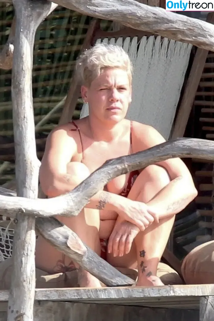 Pink nude photo #0364 (Alecia Beth Moore / pinksuicide)