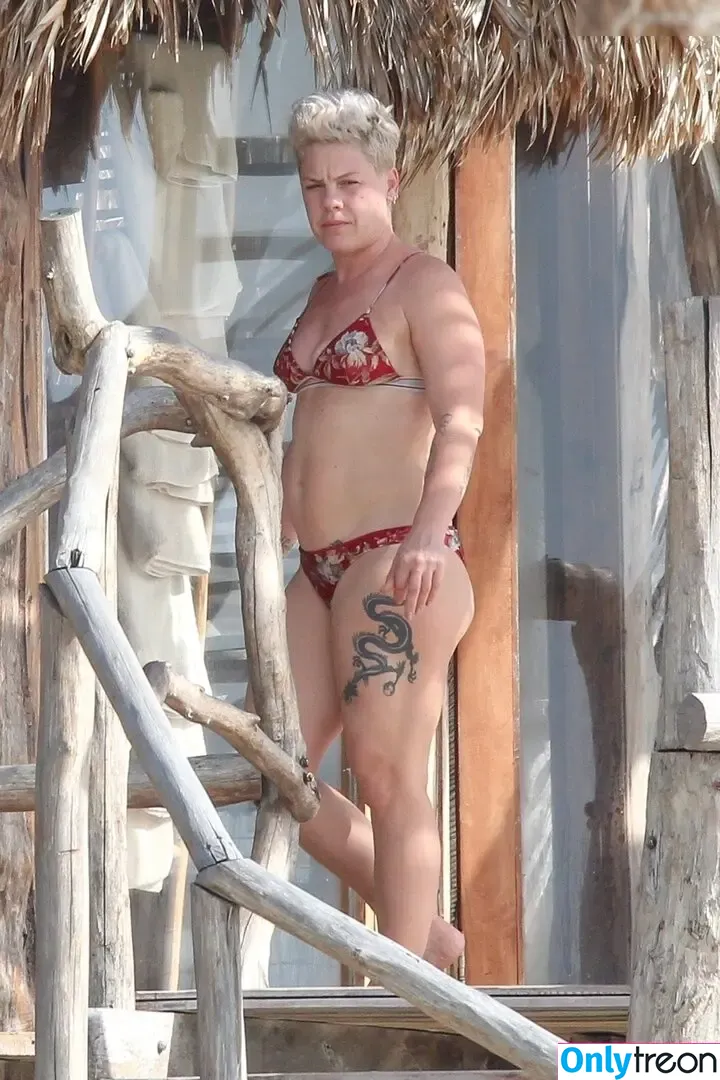 Pink nude photo #0369 (Alecia Beth Moore / pinksuicide)