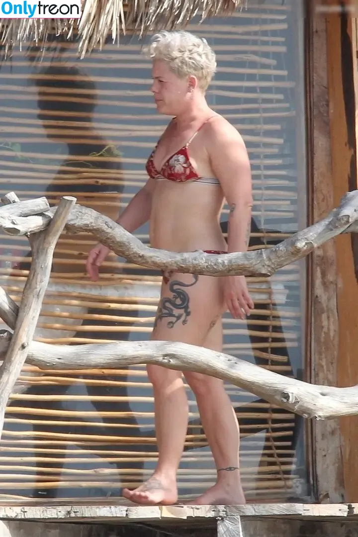 Pink nude photo #0371 (Alecia Beth Moore / pinksuicide)