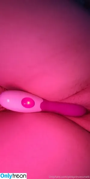 pinkprincessmelli / pinkprincessgram nude photo #0008