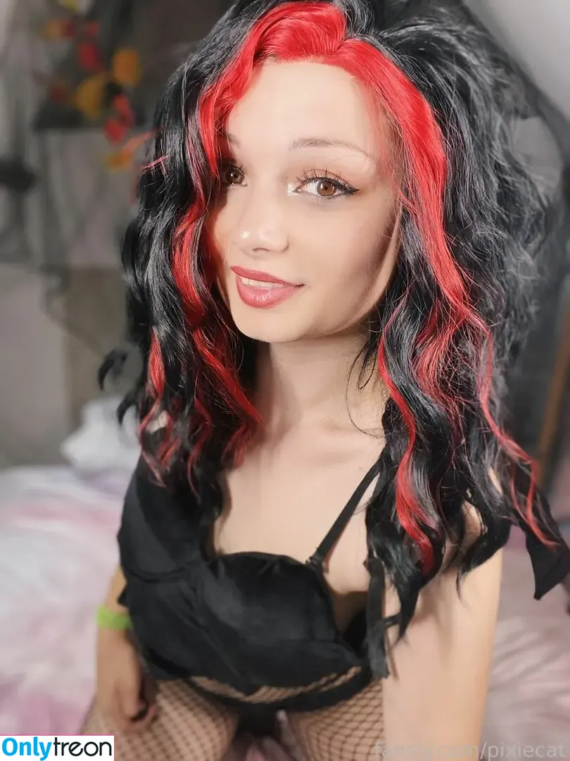 Pixiecat nude photo #0127 (pixiecatofficial / pixiiecat)