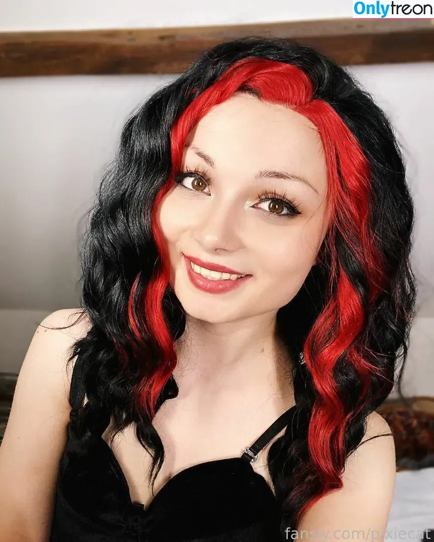 Pixiecat nude photo #0133 (pixiecatofficial / pixiiecat)