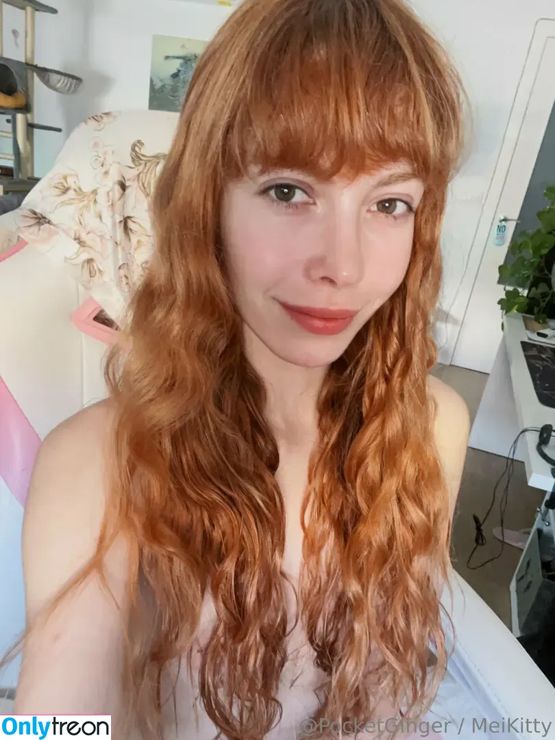 pocketginger nude photo #0361 (pocketginger)