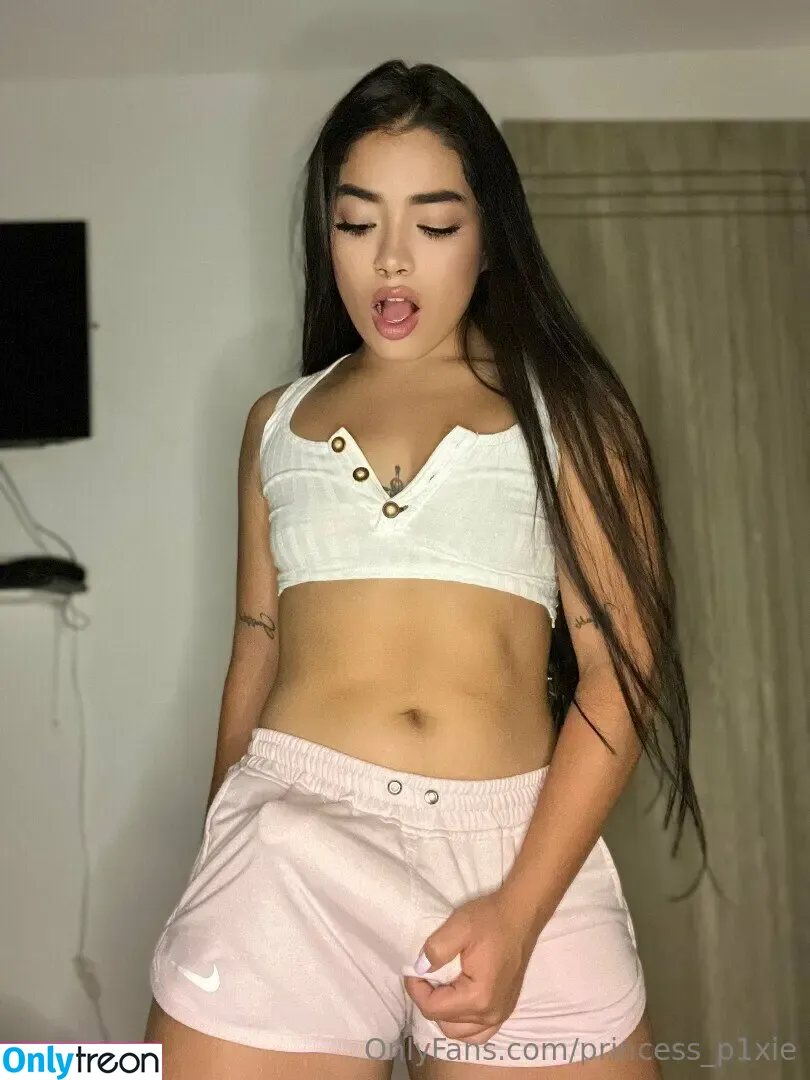 princess_p1xie nude photo #0003 (princess_pixie)