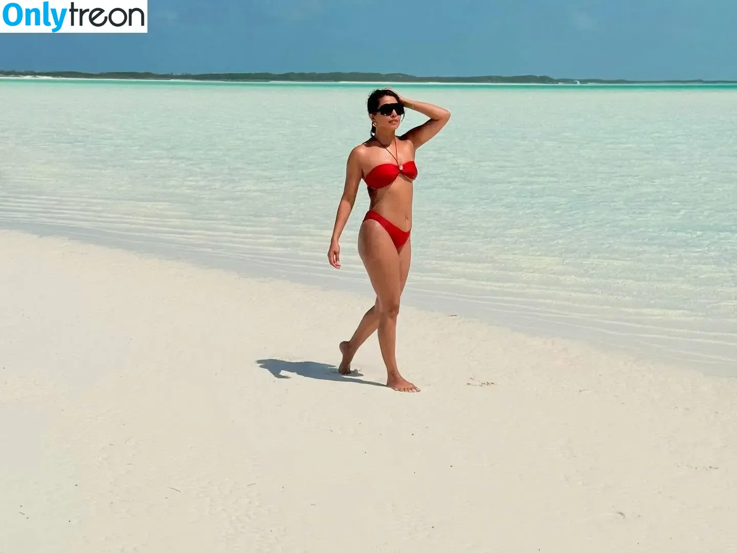 Priyanka Chopra nude photo #0271 (officialsherlynchopra / priyankachopra)
