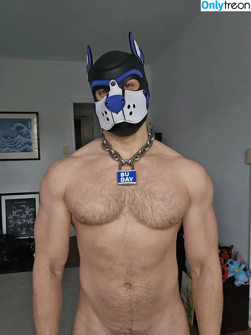 pupbuday nude photo #0075 (pup_buday)
