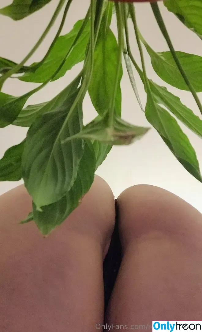 reinadelmorbo nude photo #0065 (reina_del_morboo)