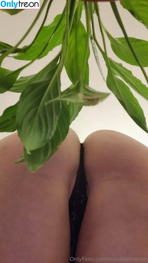 reinadelmorbo nude photo #0066 (reina_del_morboo)