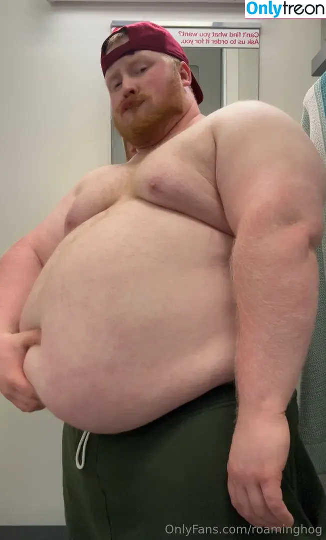 roaminghog nude photo #0186 (theroaminghog)