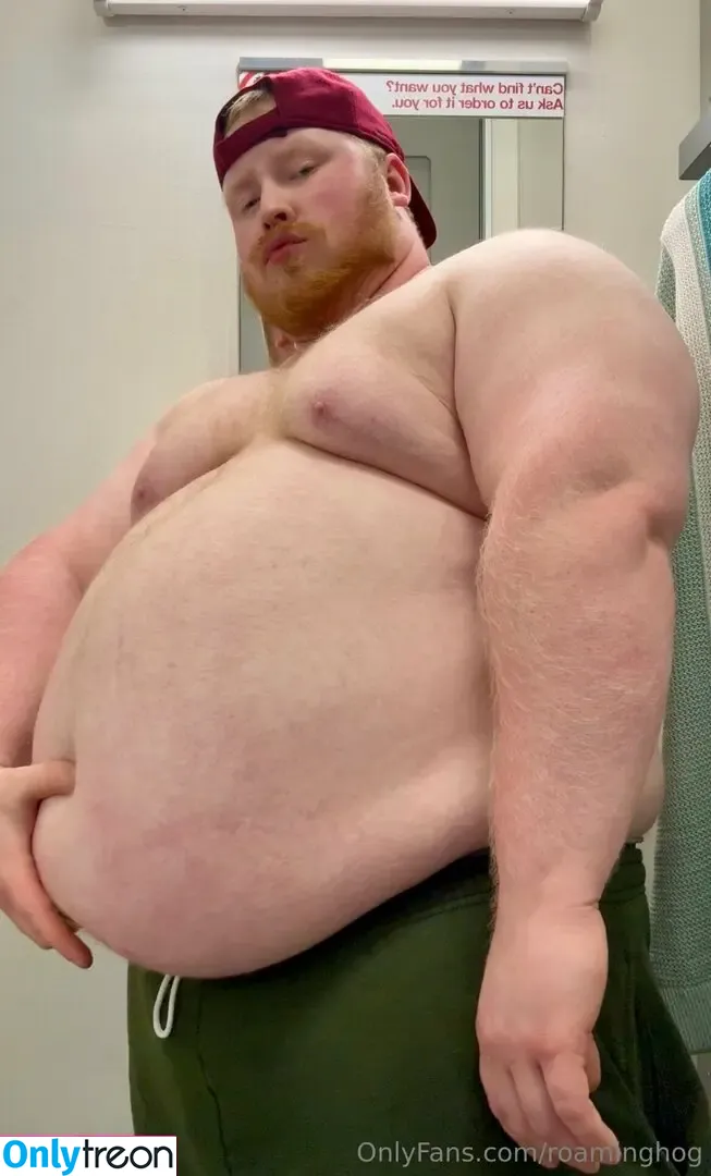 roaminghog nude photo #0187 (theroaminghog)
