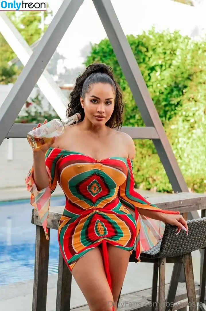 rosaacosta nude photo #0155 (rosaacosta)