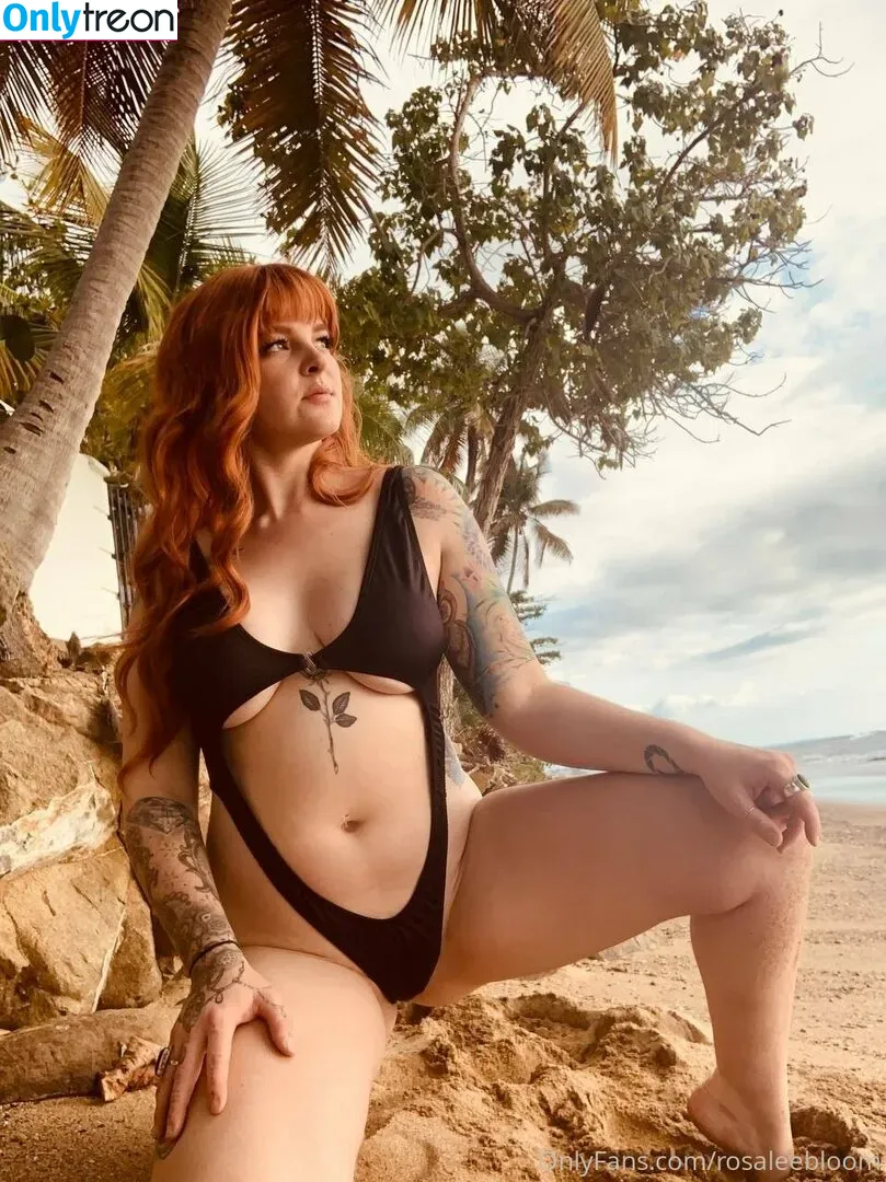 rosamagnoliaxo nude photo #0050 (rosa_magnoliaxo)