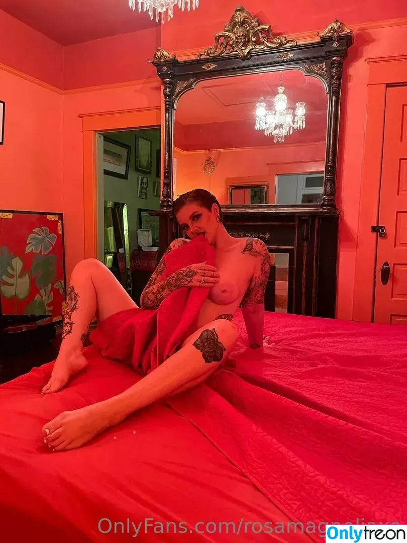 rosamagnoliaxo nude photo #0243 (rosa_magnoliaxo)