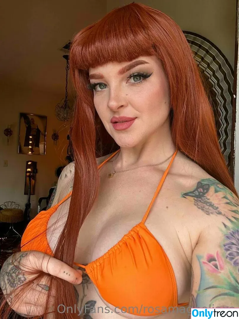 rosamagnoliaxo nude photo #0246 (rosa_magnoliaxo)