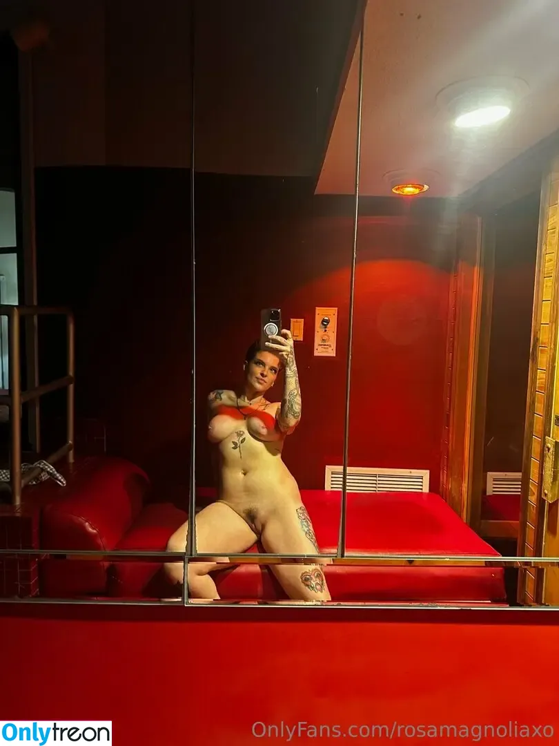rosamagnoliaxo nude photo #0701 (rosa_magnoliaxo)