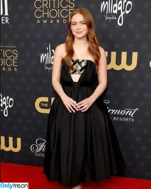 Sadie Sink / sadiesink / sadiesink_ nude photo #0376