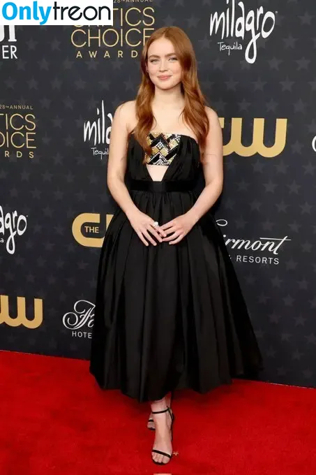 Sadie Sink nude photo #0372 (sadiesink / sadiesink_)