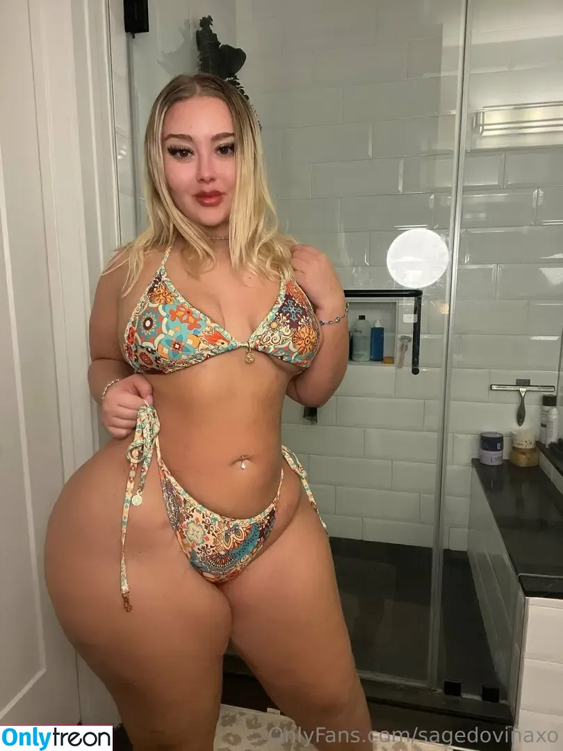 sagedovinaxo nude photo #0027 (thesagedovina)