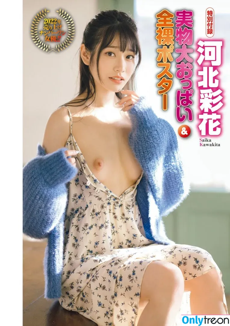 Saika Kawakita nude photo #0046 (Saika_Kawakita / saika_kawakita__official)