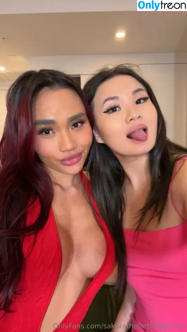 sakuratheforbiddenfruit nude photo #0627 (cherrybeen / zlightskin)