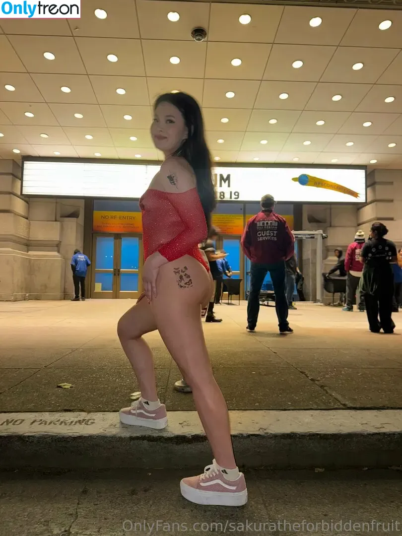 sakuratheforbiddenfruit nude photo #0701 (yourforbiddenlover_ / zlightskin)