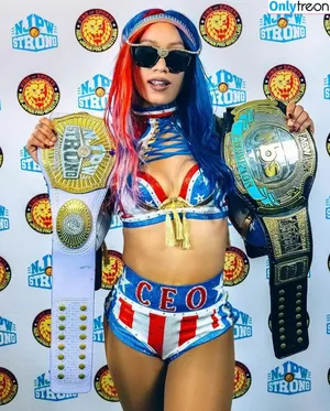 Sasha Banks / sashabankswwe / soxysasha nude photo #0946
