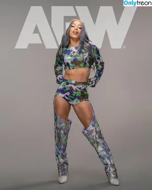 Sasha Banks / sashabankswwe / soxysasha nude photo #0993