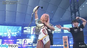 Sasha Banks / sashabankswwe / soxysasha nude photo #1359