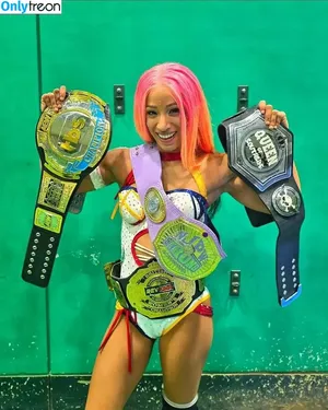 Sasha Banks / sashabankswwe / soxysasha nude photo #1365