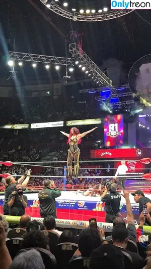 Sasha Banks / sashabankswwe / soxysasha nude photo #1774