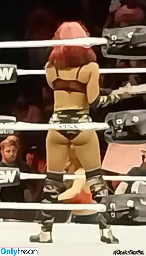 Sasha Banks nude photo #1108 (sashabankswwe / soxysasha)