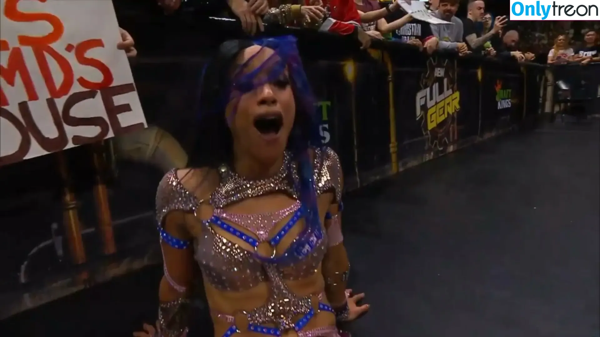Sasha Banks nude photo #1114 (sashabankswwe / soxysasha)