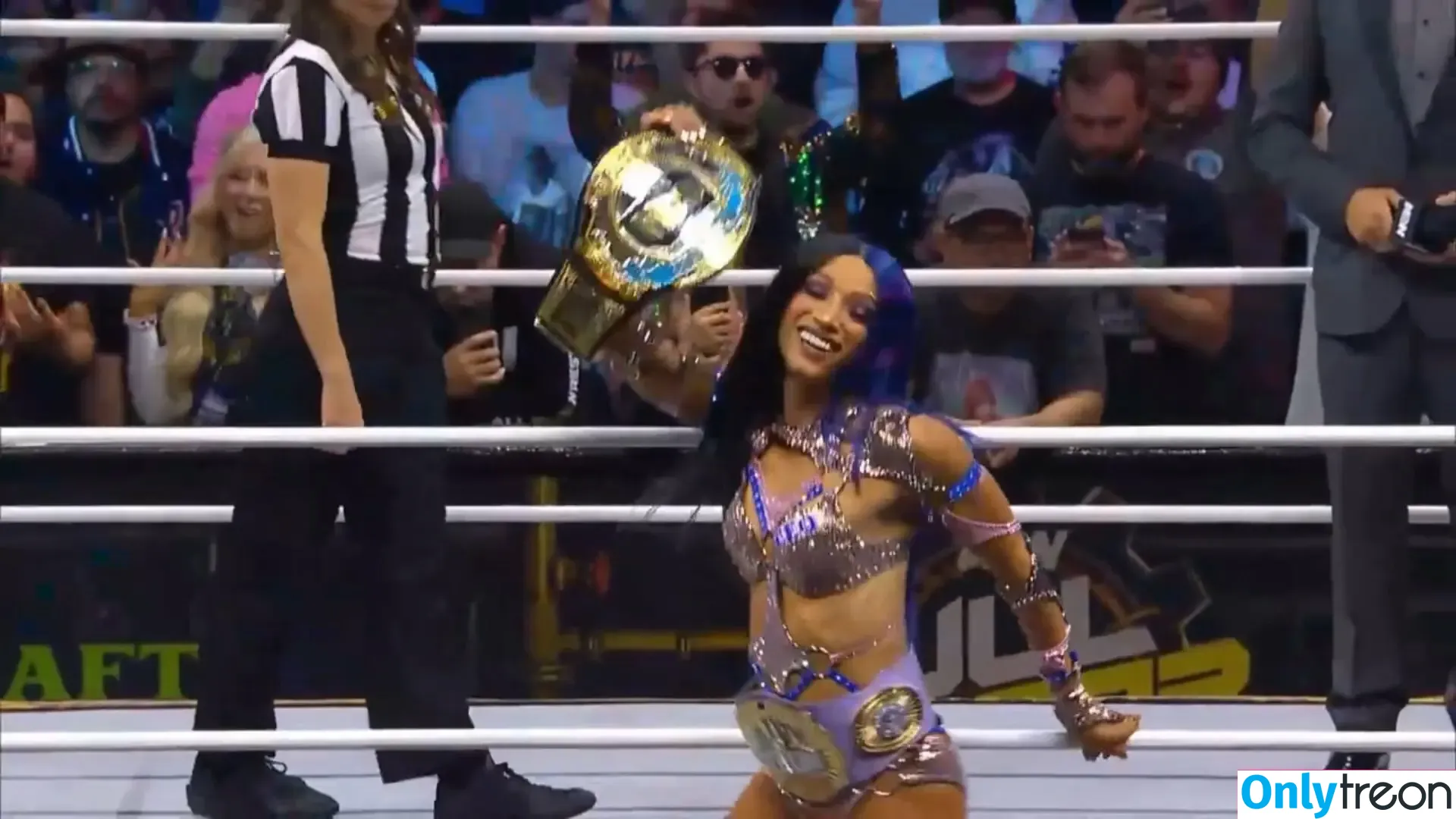 Sasha Banks nude photo #1123 (sashabankswwe / soxysasha)