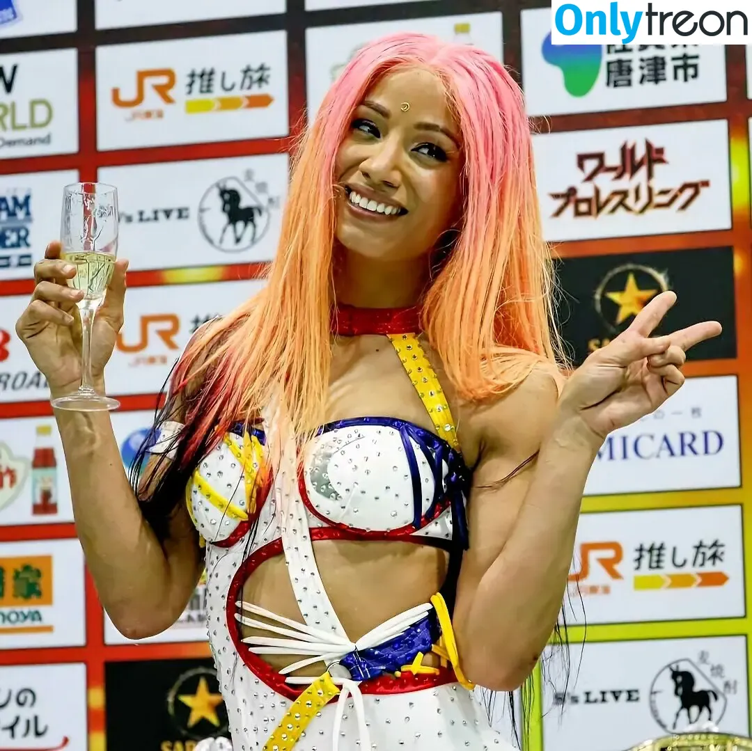 Sasha Banks nude photo #1351 (sashabankswwe / soxysasha)