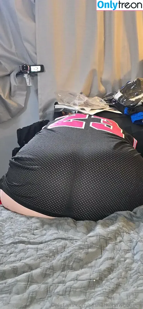 sashathepawgqueen nude photo #0010 (sasha.thequeen)