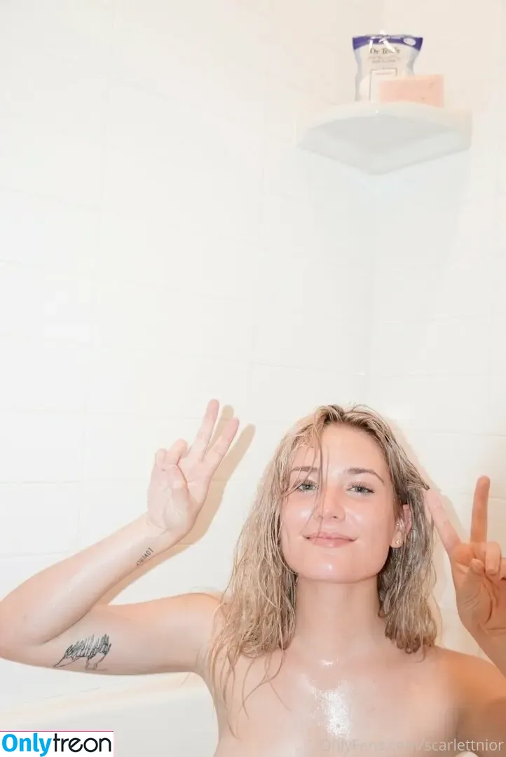 Scarlettnior nude photo #0417 (scarlett.nior)