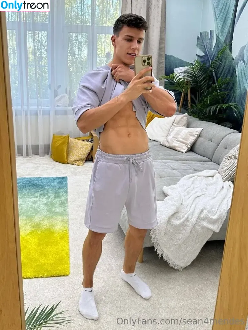 sean4mendes nude photo #0114 (sean4mendes)