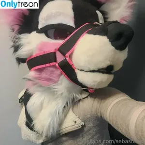 sebasfortis / pupzendex nude photo #0016