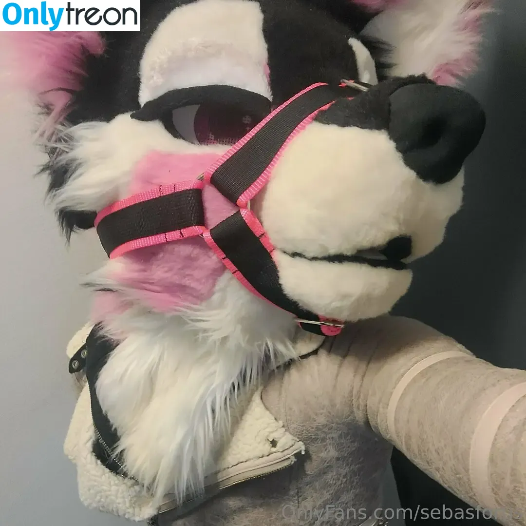 sebasfortis nude photo #0016 (pupzendex)