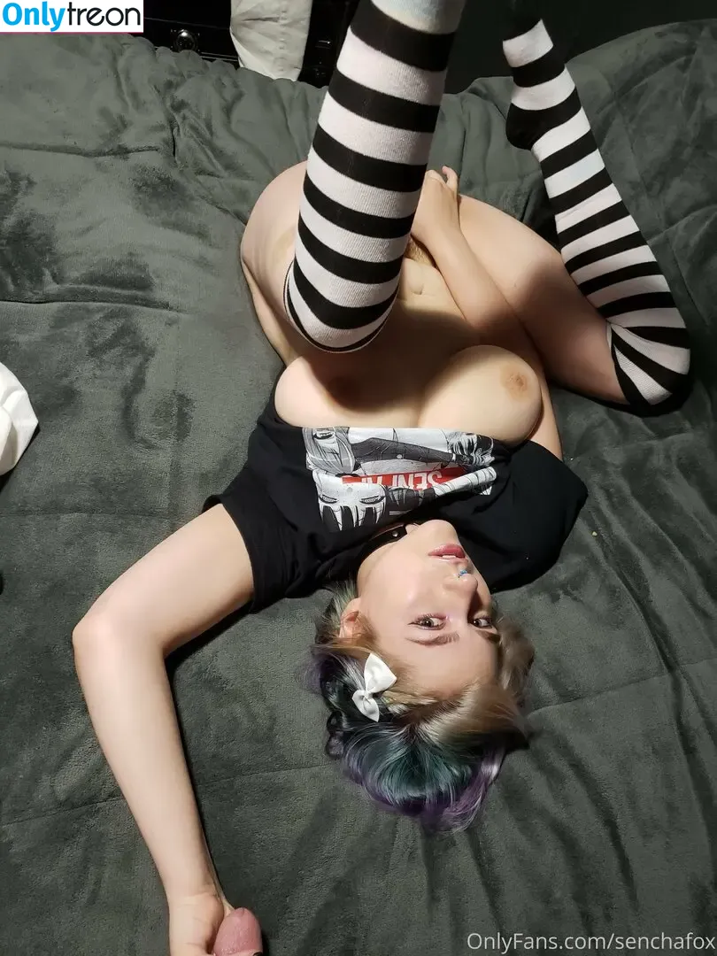 senchafox nude photo #0109 (sencha.fox)