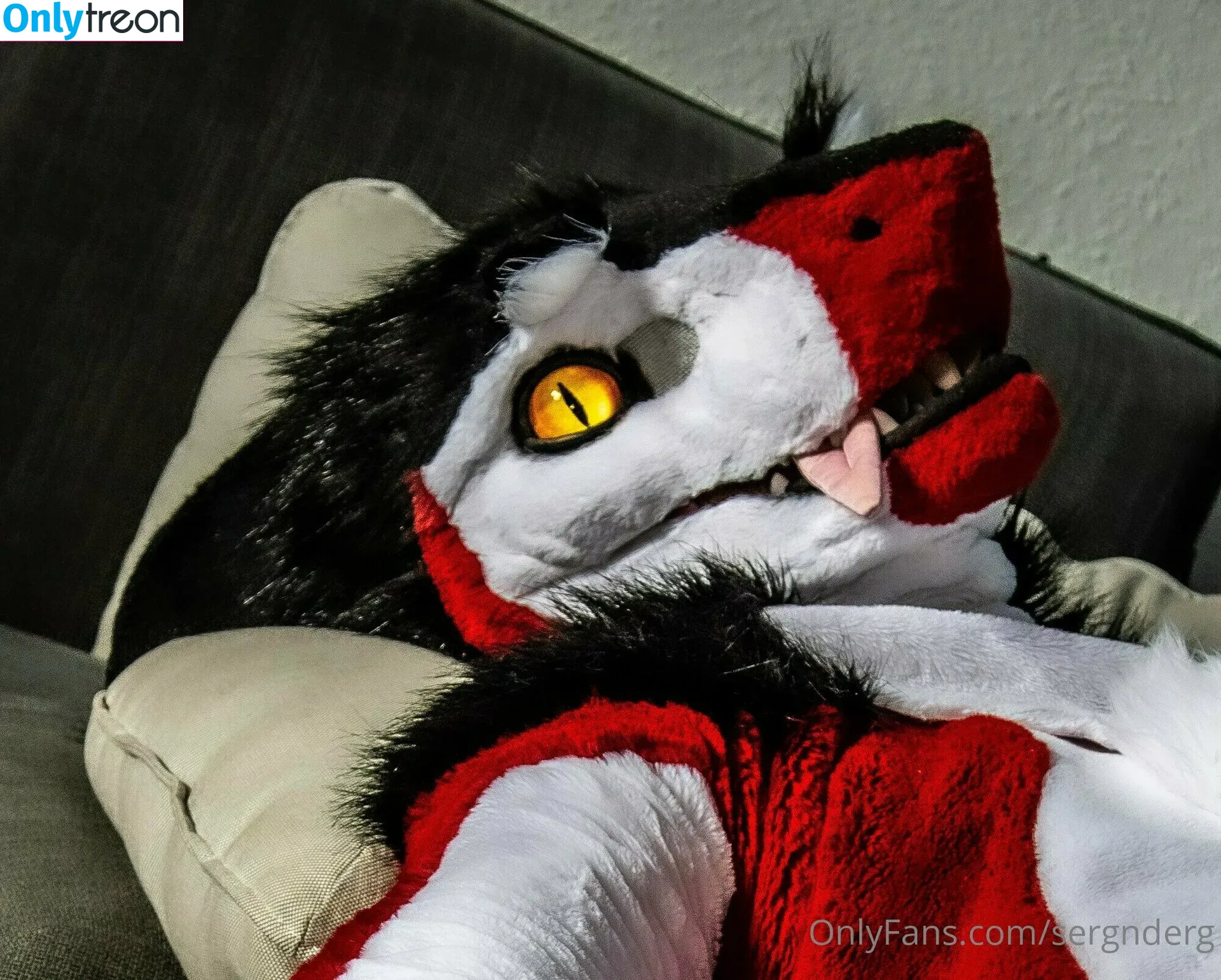 sergnderg nude photo #0033 (sergserg)