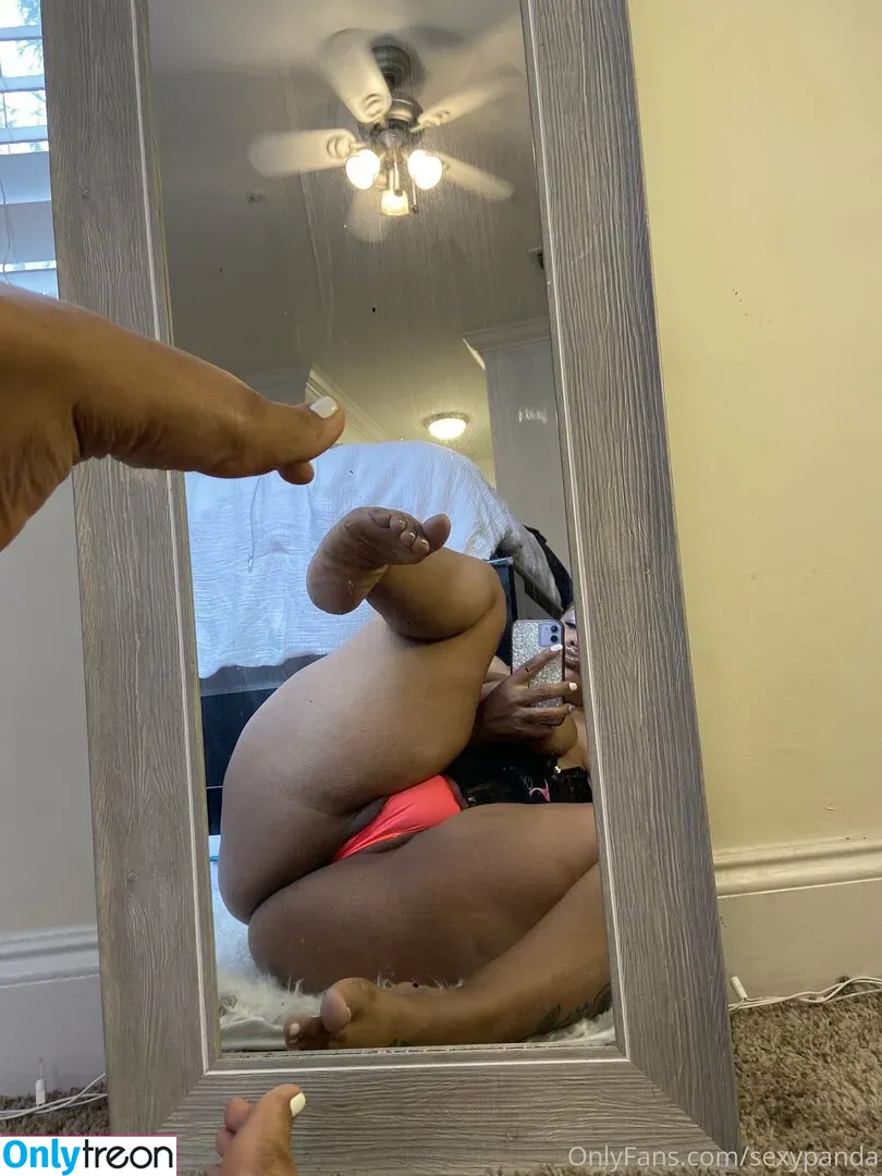 sexypanda nude photo #0063 (pandabearsworld / sexypandarl)