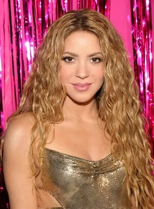 Shakira / shakkira nude photo #0279